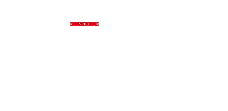 和出汁薫スパイスカレー